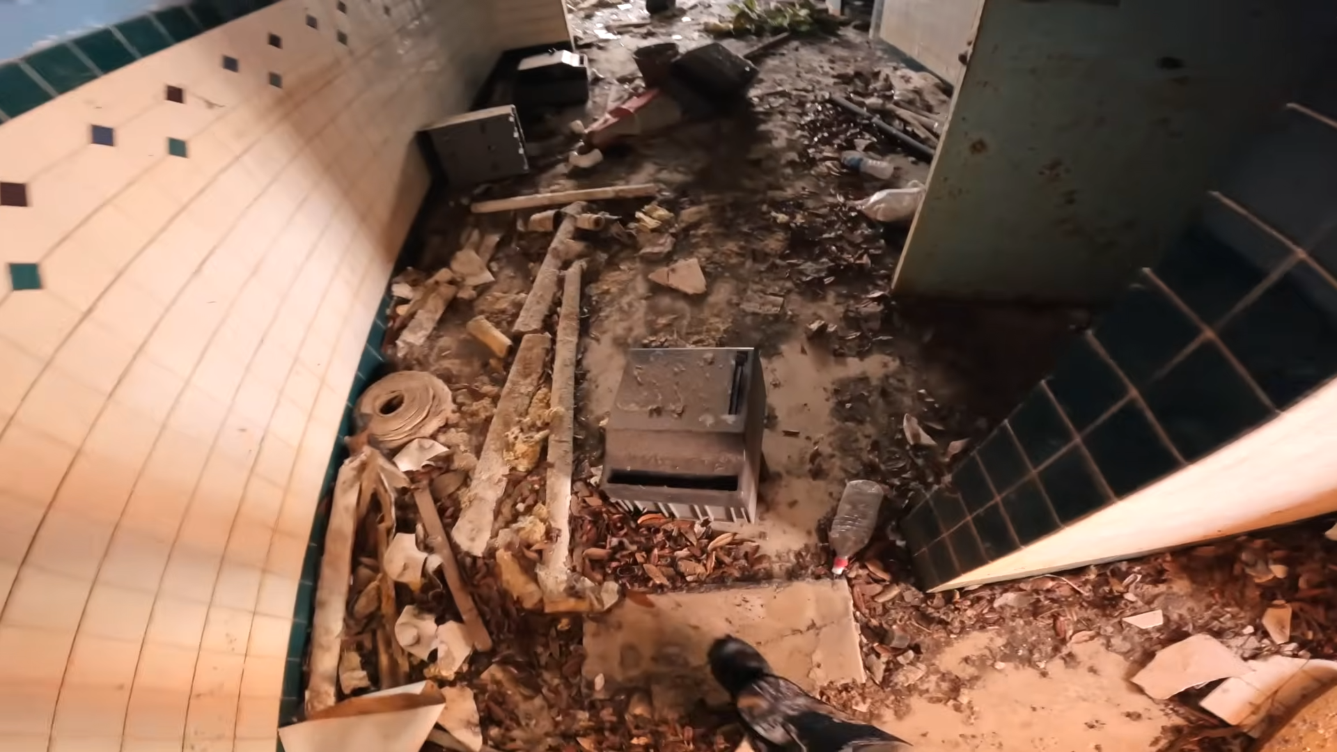 They broke into abandoned Six Flags – then saw something moving