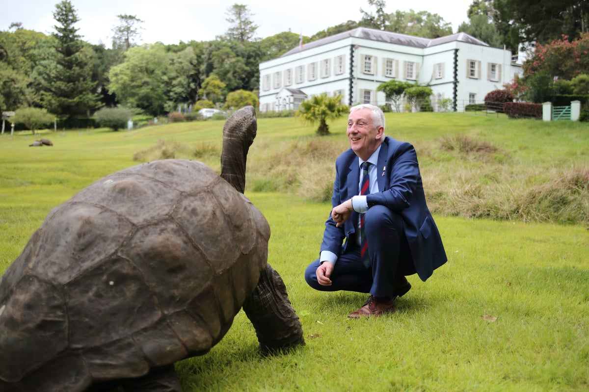 Giant tortoise aged 193 caught in bizarre crypto death hoax