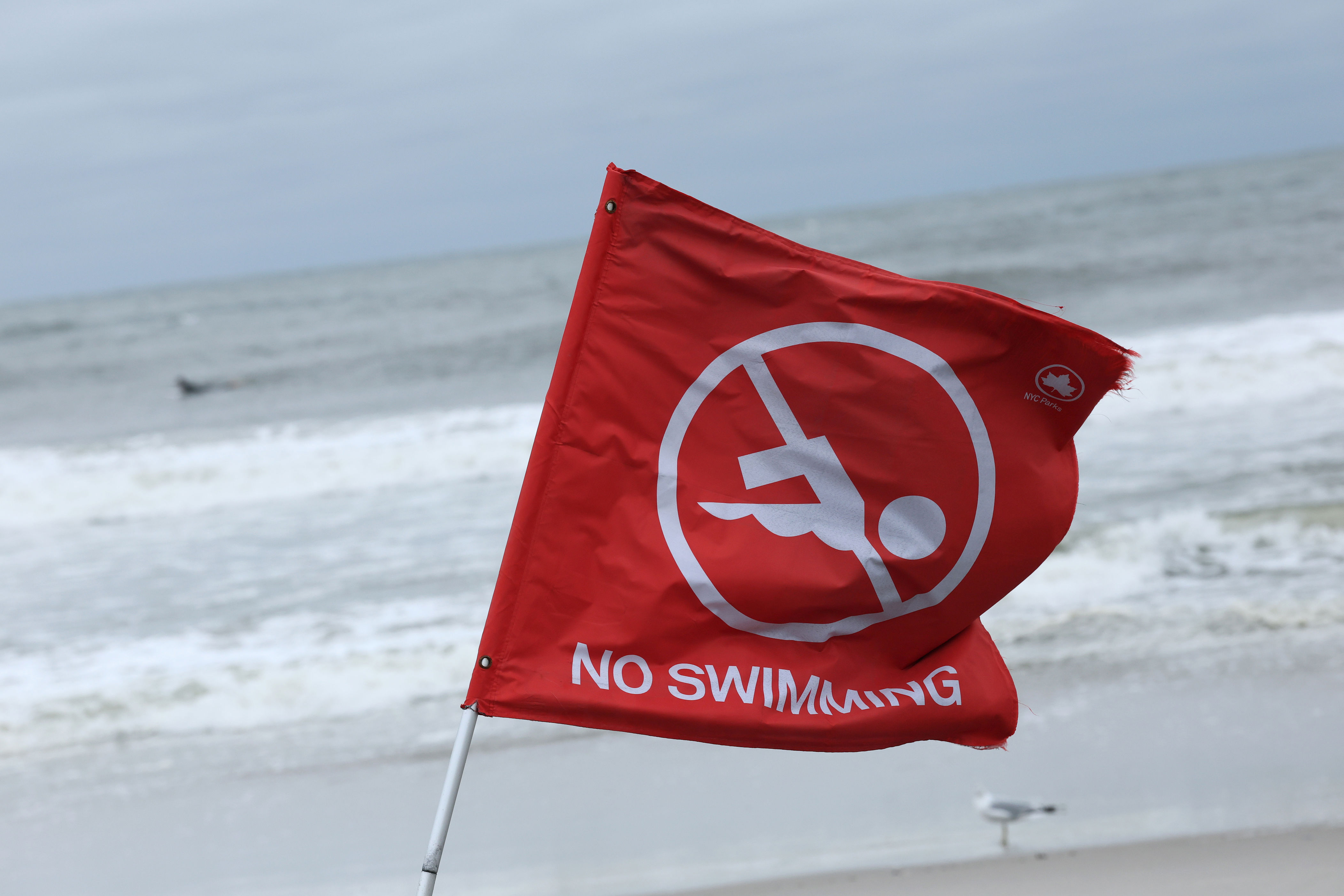 Beachgoers warned to stay out of water in Florida