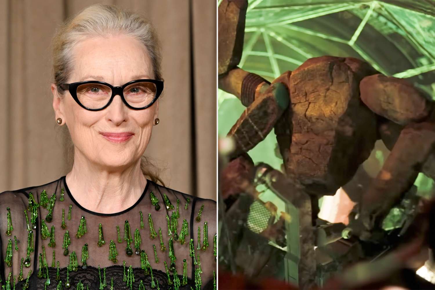 How Meryl Streep ended up making a surprising cameo in “Project Hail ...
