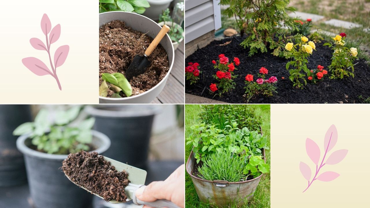 Yes, you can reuse compost from pots and here's how