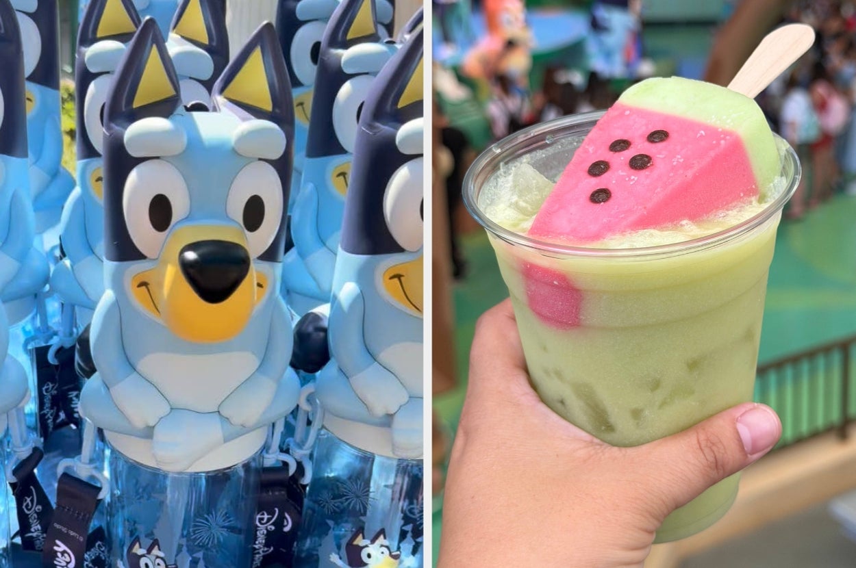 Bluey has arrived at Disneyland — here