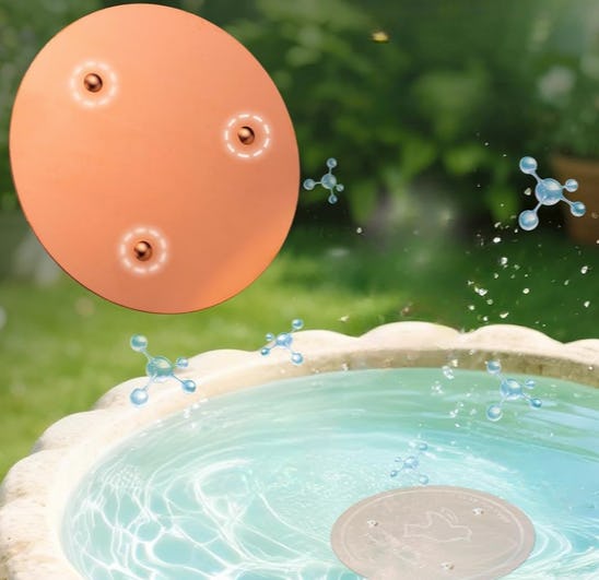 60 amazeballs things for your backyard that are surprisingly under $30 on Amazon
