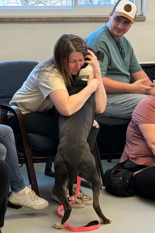 Pennsylvania animal shelter hosts event for dogs to pick their owners ...