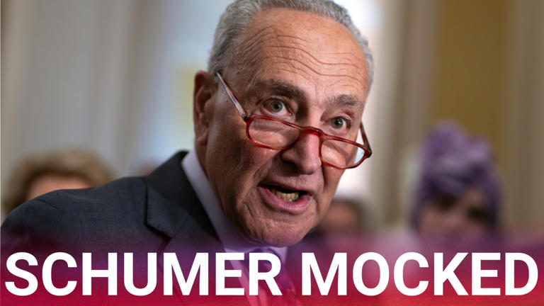 Donald Trump roasts 'discombobulated' Chuck Schumer over funding ICE gaffe
