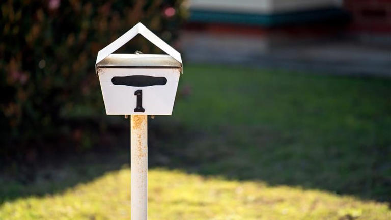 Barking dogs, overhanging trees, shared fences — how to resolve issues ...