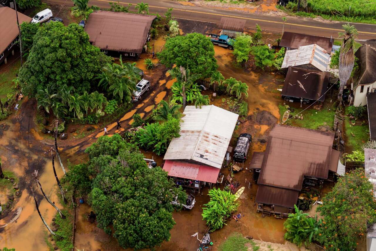 AA1Zb6bf They Left Their Cats on a Roof and Kayaked Away from Flooded Oahu Farm—Now They Fear Losing It