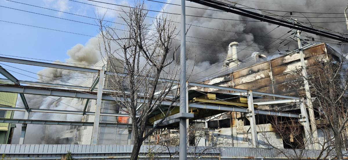 대전 화재의 원인과 피해 상황, BTS 공연과 상업적 영향, 중동사태에 대한 정부의 대응과 석유화학 산업의 위기