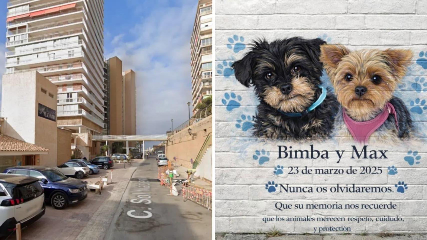 Un año de la muerte de Bimba y Max, los perros arrojados de un octavo ...