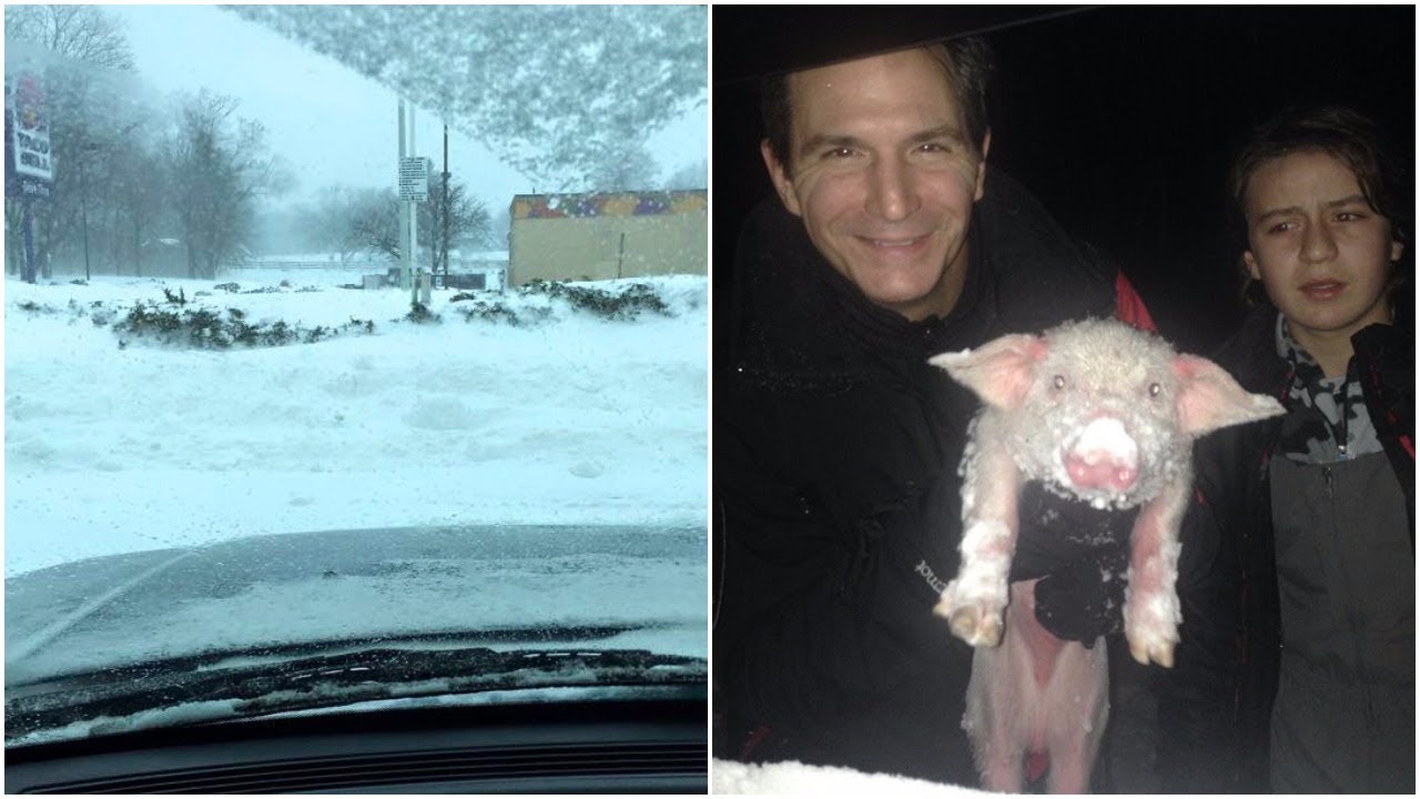When this family spotted something pink frozen in a blizzard, they knew ...
