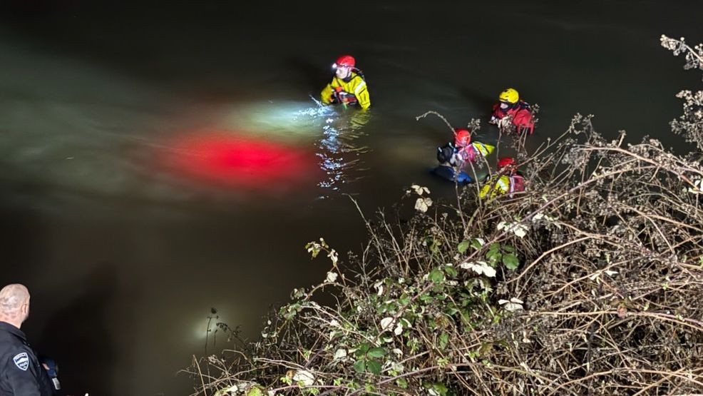 Driver found dead in submerged BMW after car crashes through guardrail ...