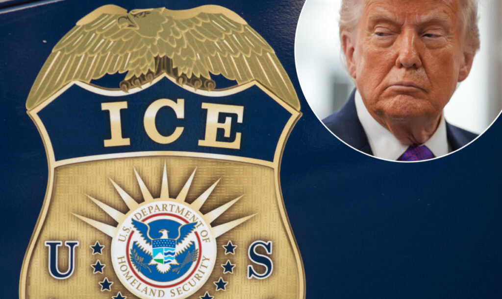 Starting Monday Trump will deploy ICE to airports to help TSA