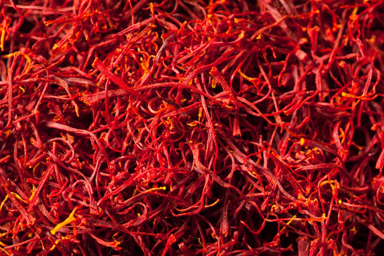 A closeup of dried saffron threads