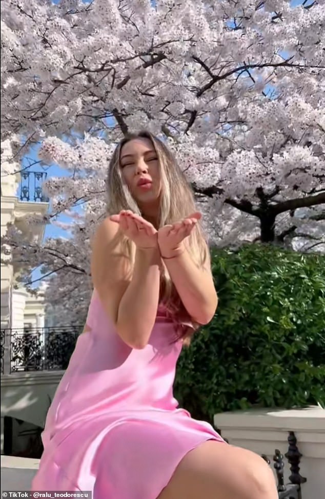 A TikToker in a pink dress poses by the blooming cherry blossom tree on Stanley Crescent 