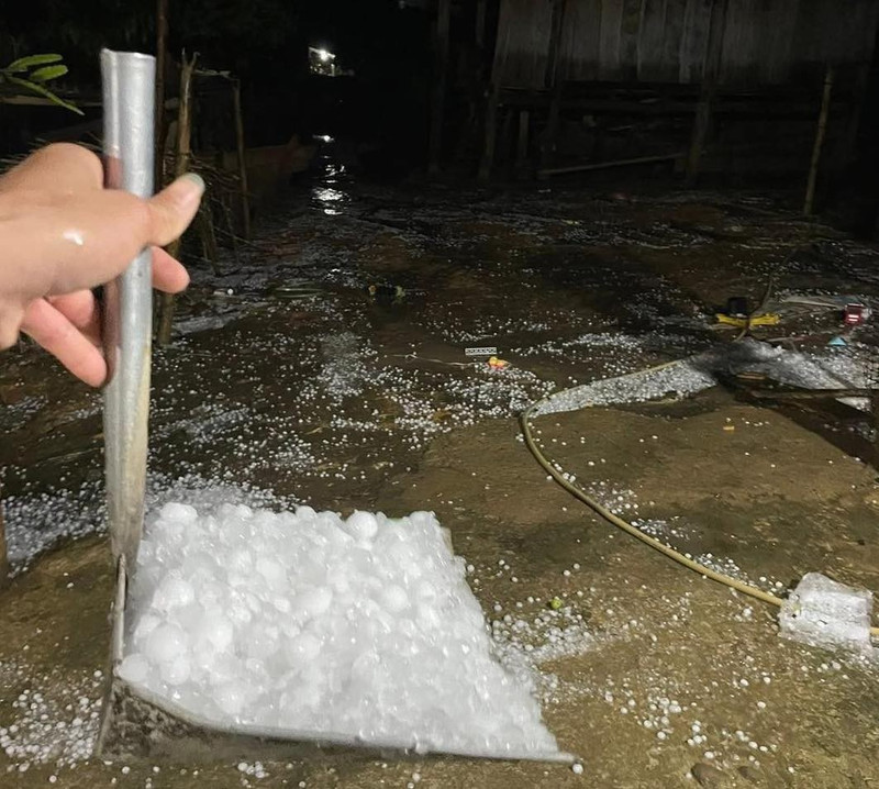 Mưa đá tàn phá hàng trăm ha mận, táo ở Sơn La