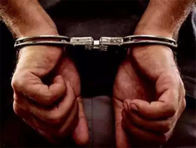 Punjab Police bust Pak-backed drug module; 3 held with 24.5 kg heroin ...