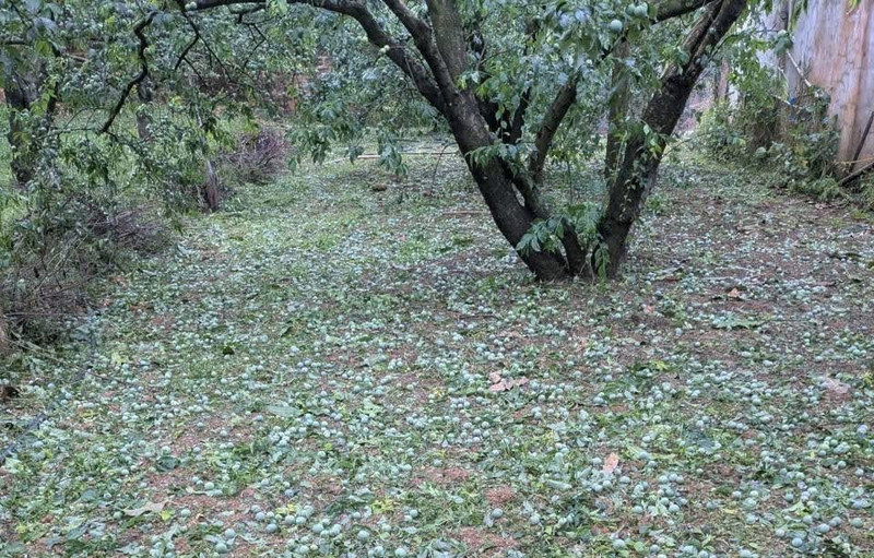 Nhiều nhà đổ sập, hư hỏng do mưa kèm dông lốc mạnh ở miền Bắc