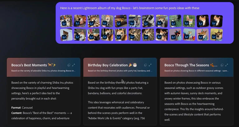 Adobe put an AI coworker for your edits in Photoshop, Express, and even ...