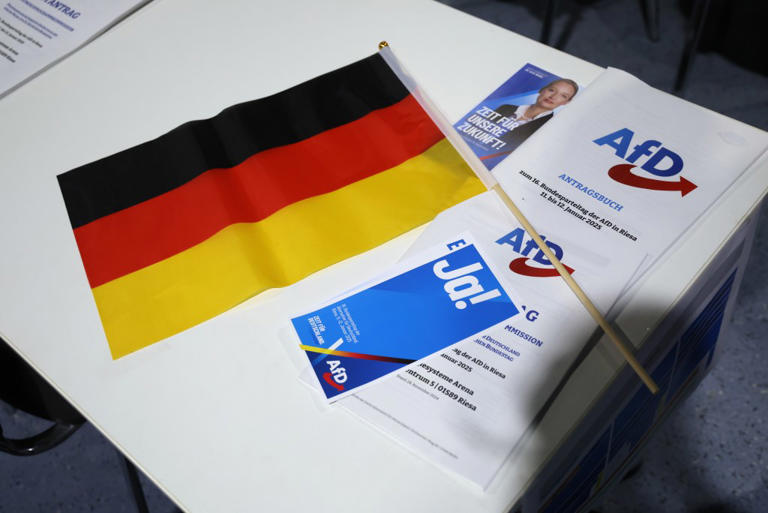 AfD scores major election success in Germany