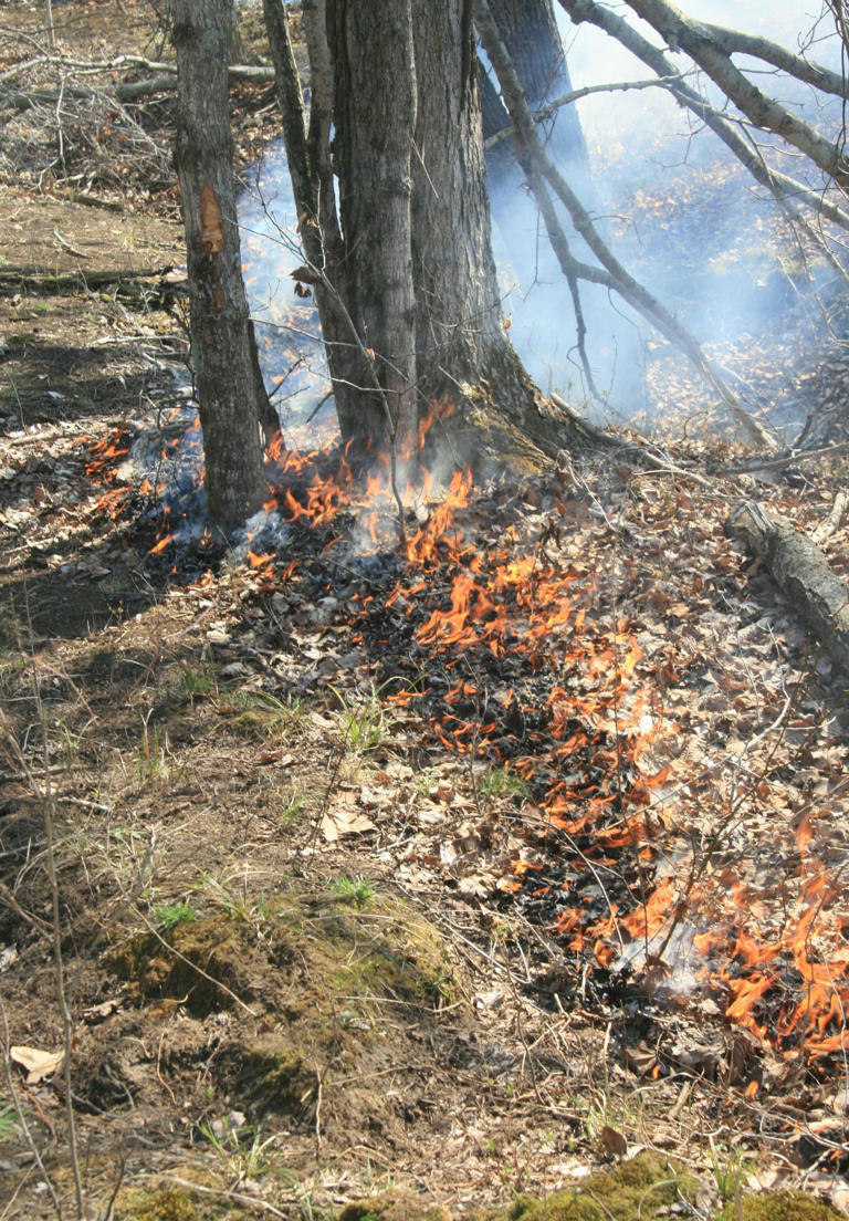 Smoke may fill the air as Florida fights fire with prescribed fire