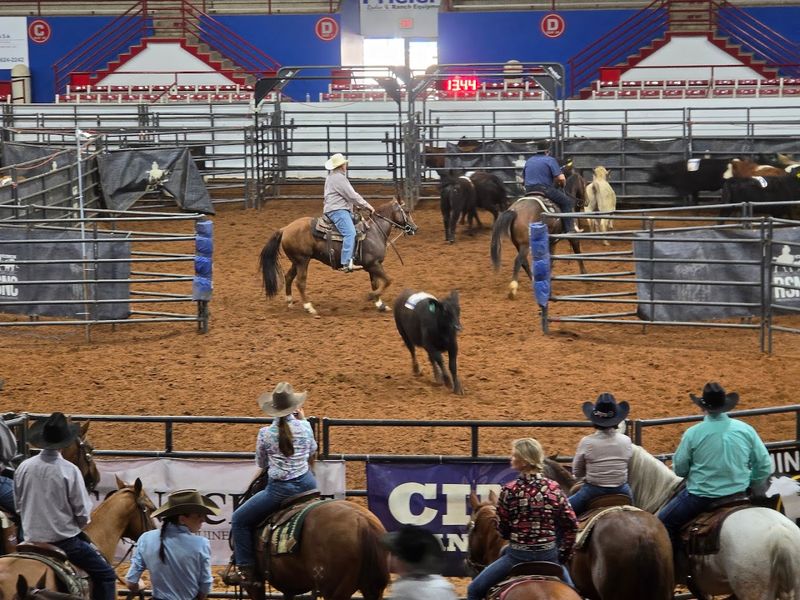 The massive Oklahoma equestrian arena that feels like the heart of ...