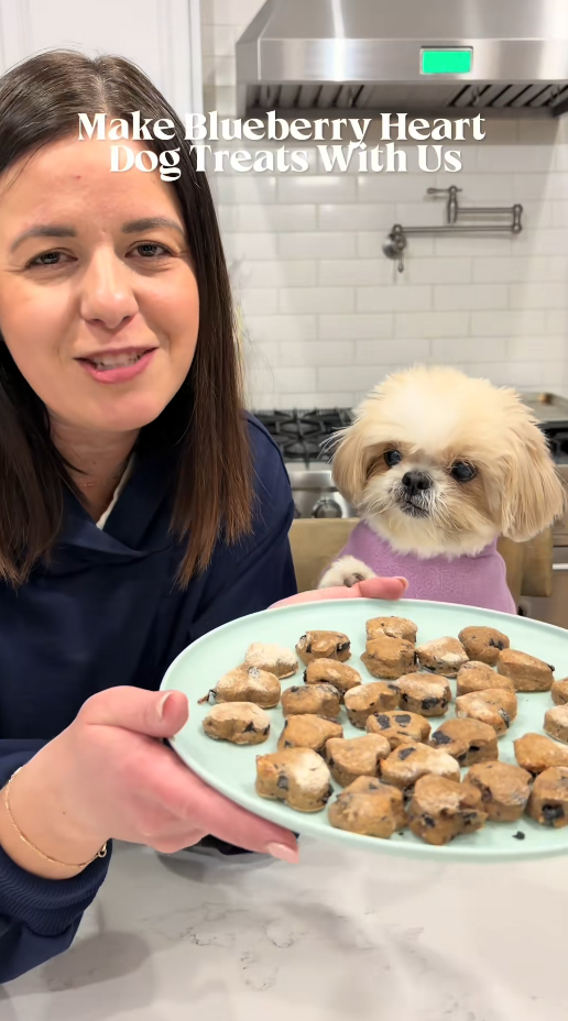 Blueberry heart dog treats you can make