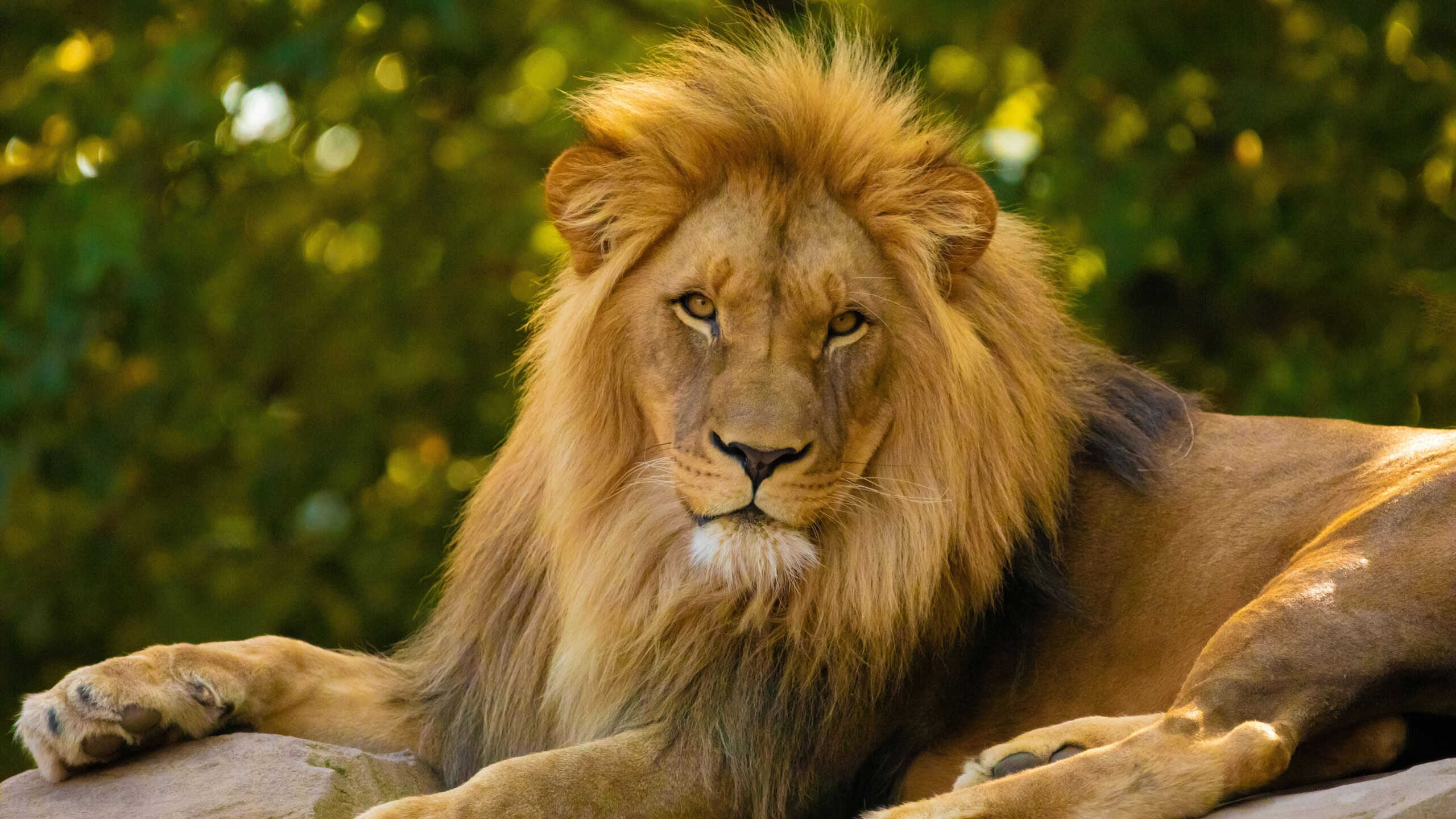 8 animals mentioned in the Bible and what they symbolize