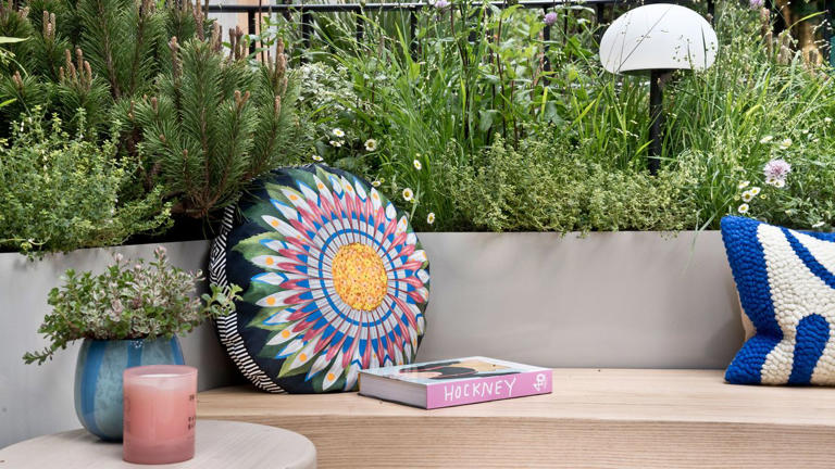 How to grow in the hottest corner of your yard – 5 expert ideas for ...