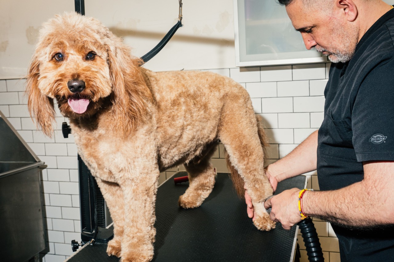 Americans are spending more than ever on manicures and doggy daycare