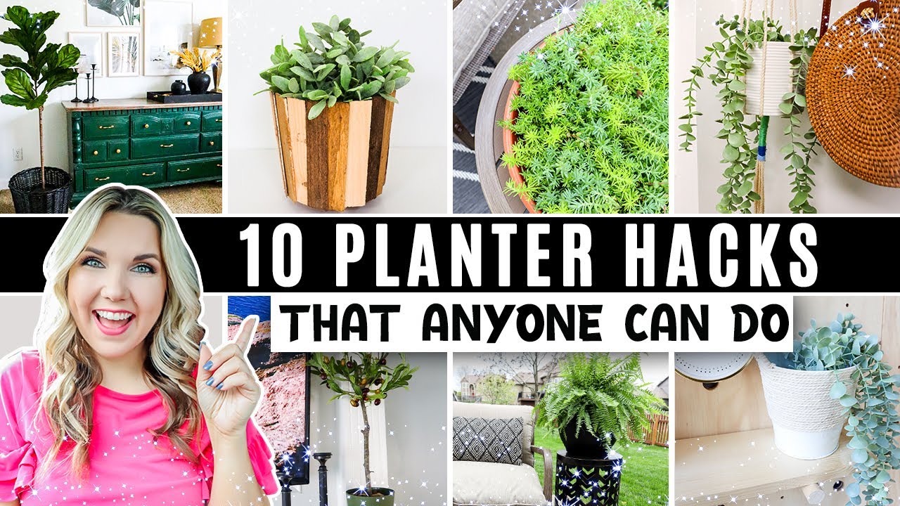 Stunning Dollar Tree planter DIYs on a budget