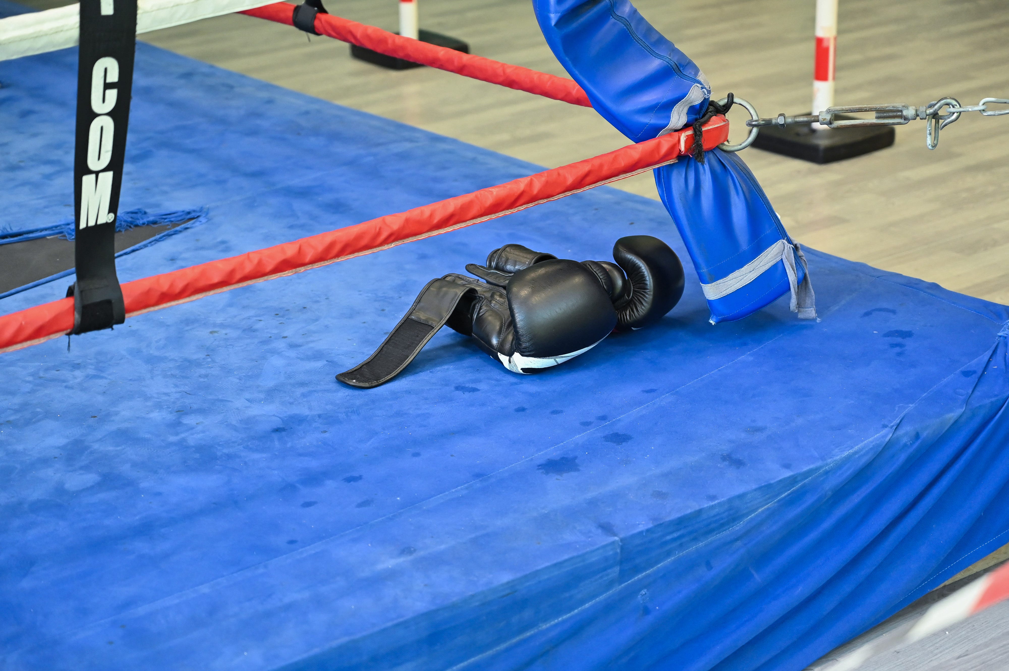 Female boxer out of coma two days after brutal knockout, says official<br>