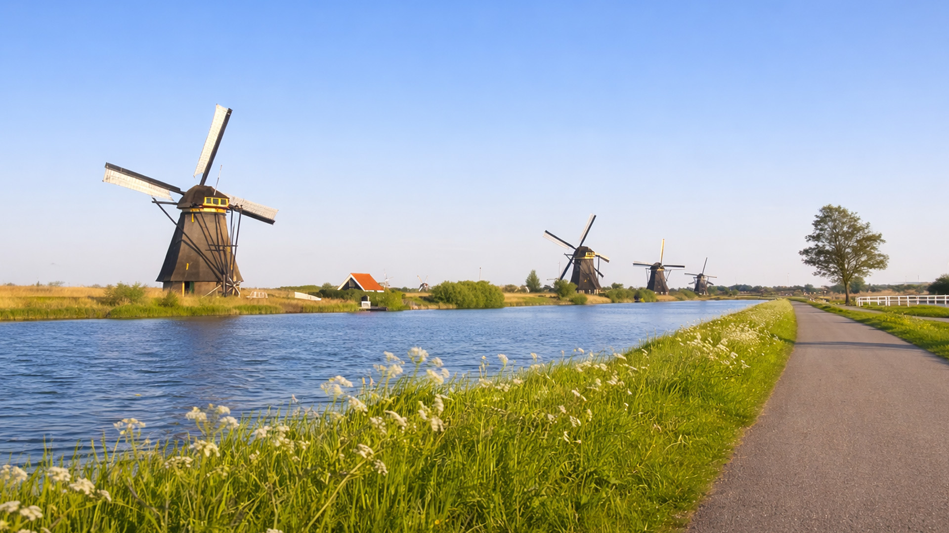 Why does this area need so many windmills?