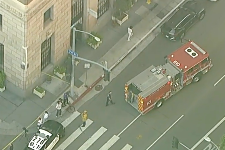 Multiple people stabbed during brawl at LA restaurant, police say