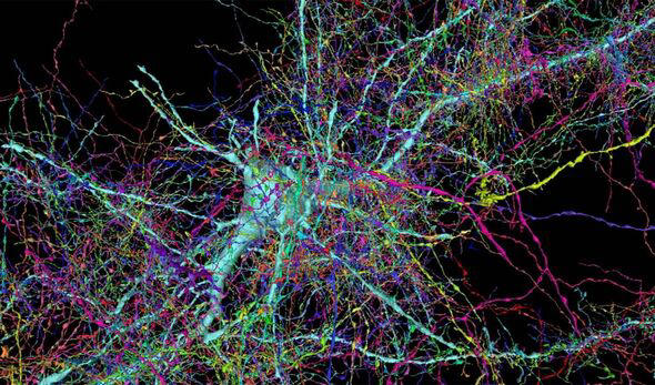 Mind uploading closer than ever as scientists freeze brain in time
