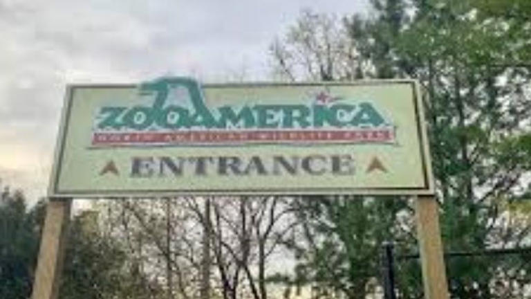 Toddler injured by wolf after sticking hand inside ZooAmerica enclosure
