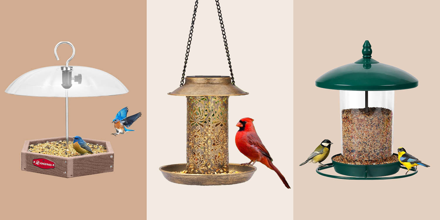 Bird watcher-approved bird feeders for your yard this spring