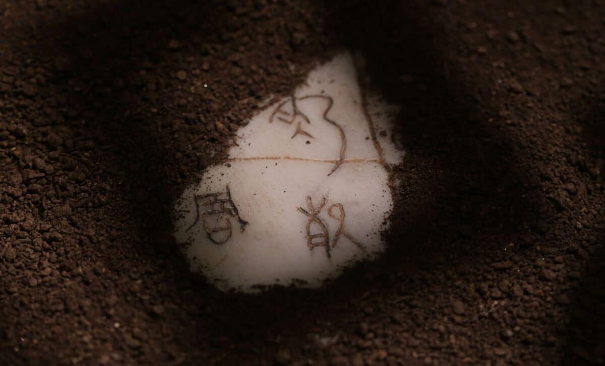 Scientists Analyzed 55,000 Ancient Bones Inscriptions and Finally ...