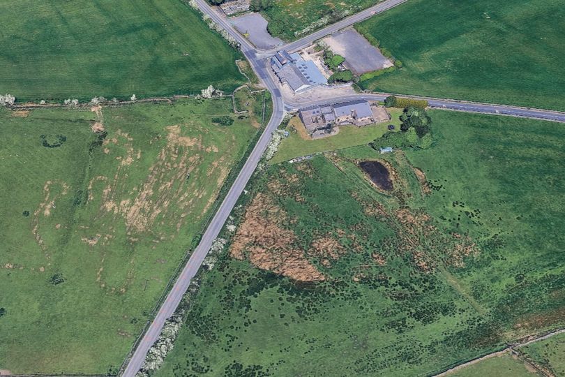 Tragedy as man in his 80s dies after car comes off road and hits wall