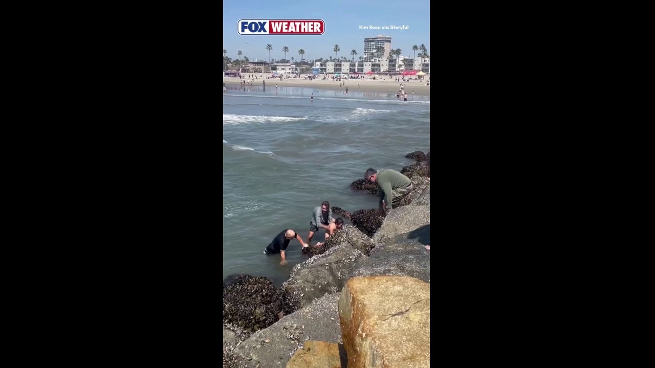 California swimming coach rescues father and daughter in deadly rip ...