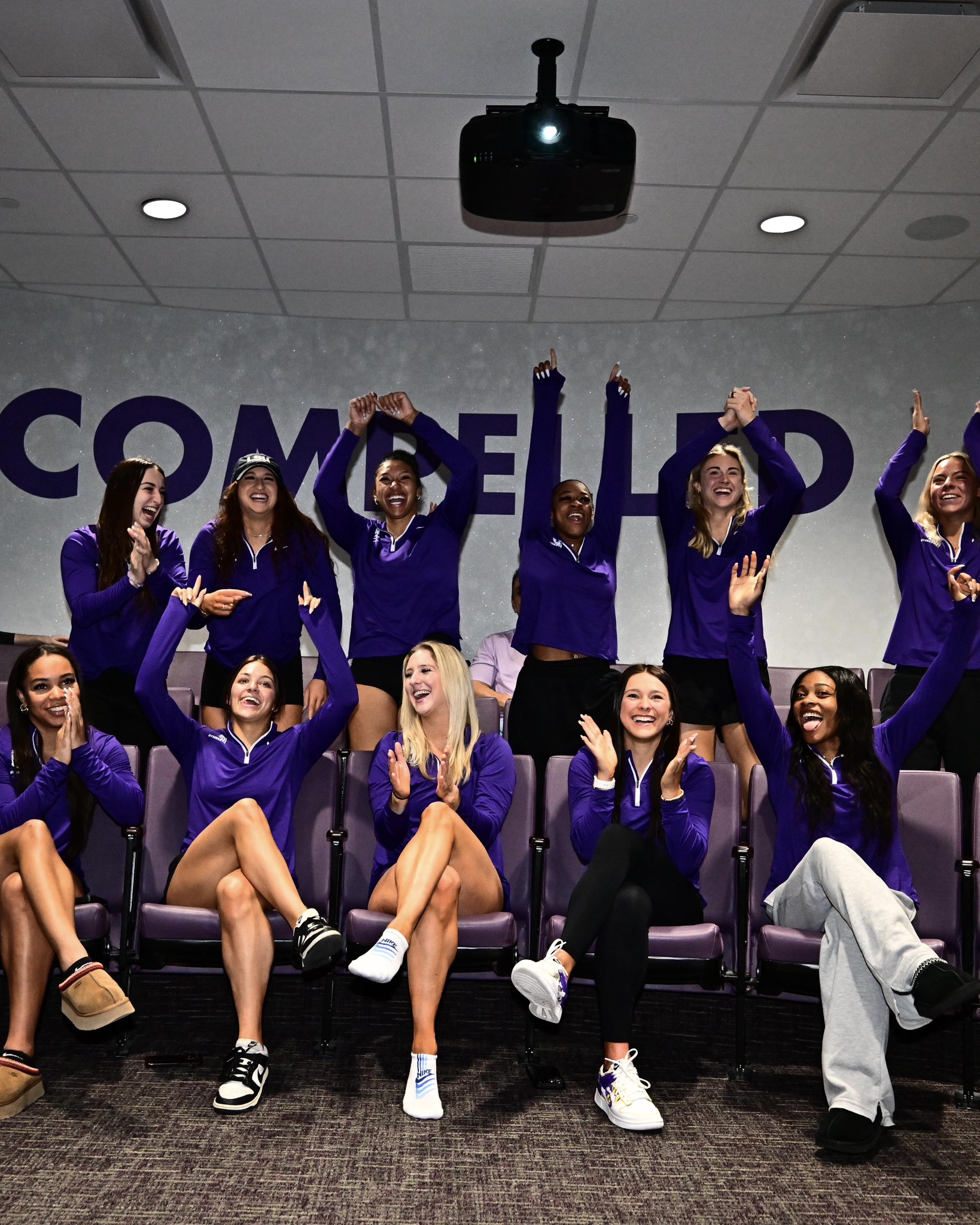 LSU earns 2nd overall seed, top seed in home regional<br><br>