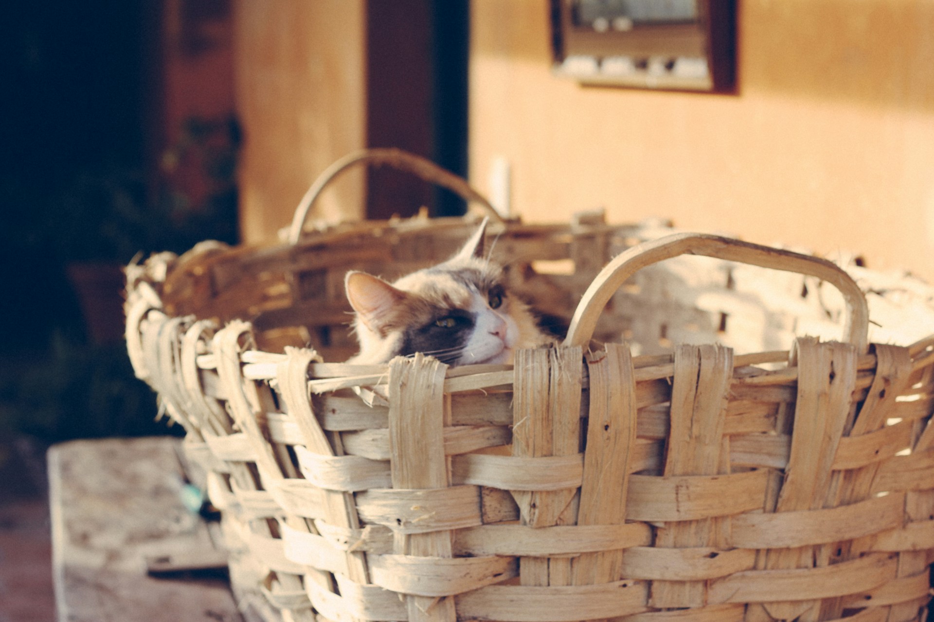 15 baskets, throws, and pillows that create the perfect cozy atmosphere
