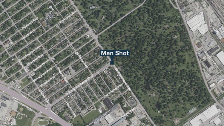 Man critically injured after being shot, crashing vehicle in north St ...