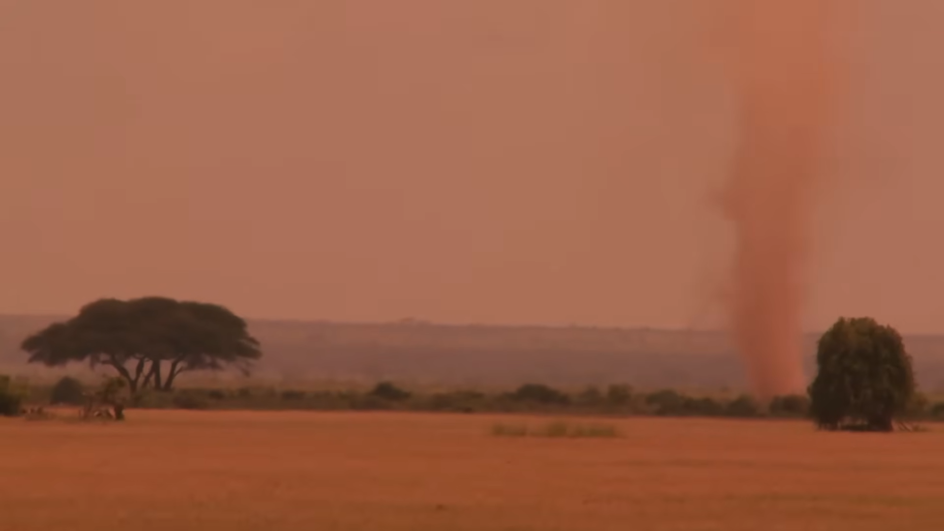 Watch how it started raining blood - and people thought it was the end