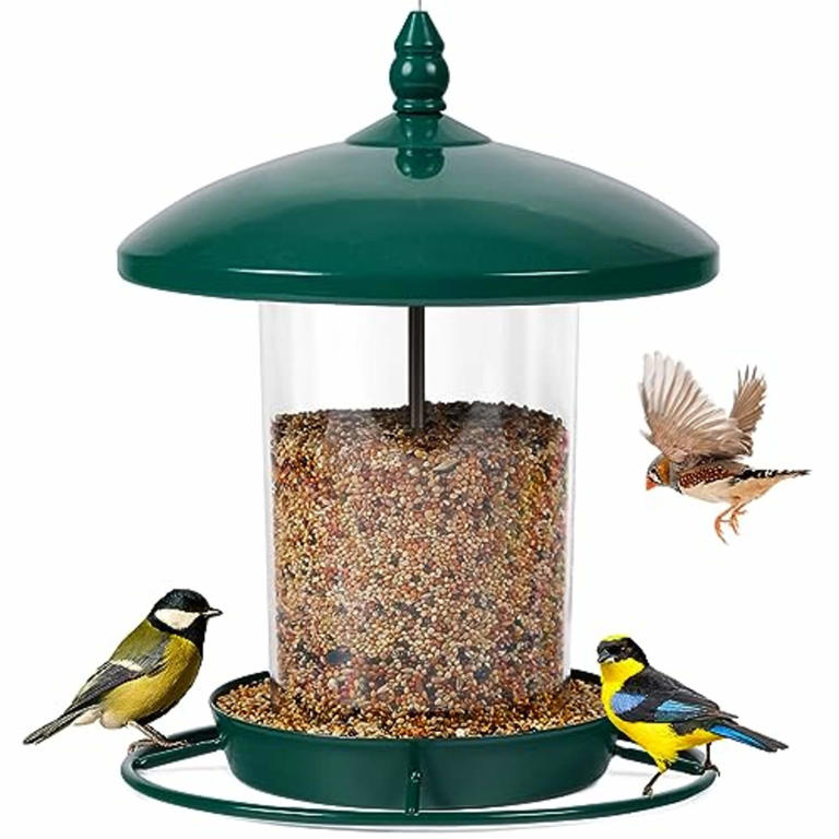Bird watcher-approved bird feeders for your yard this spring