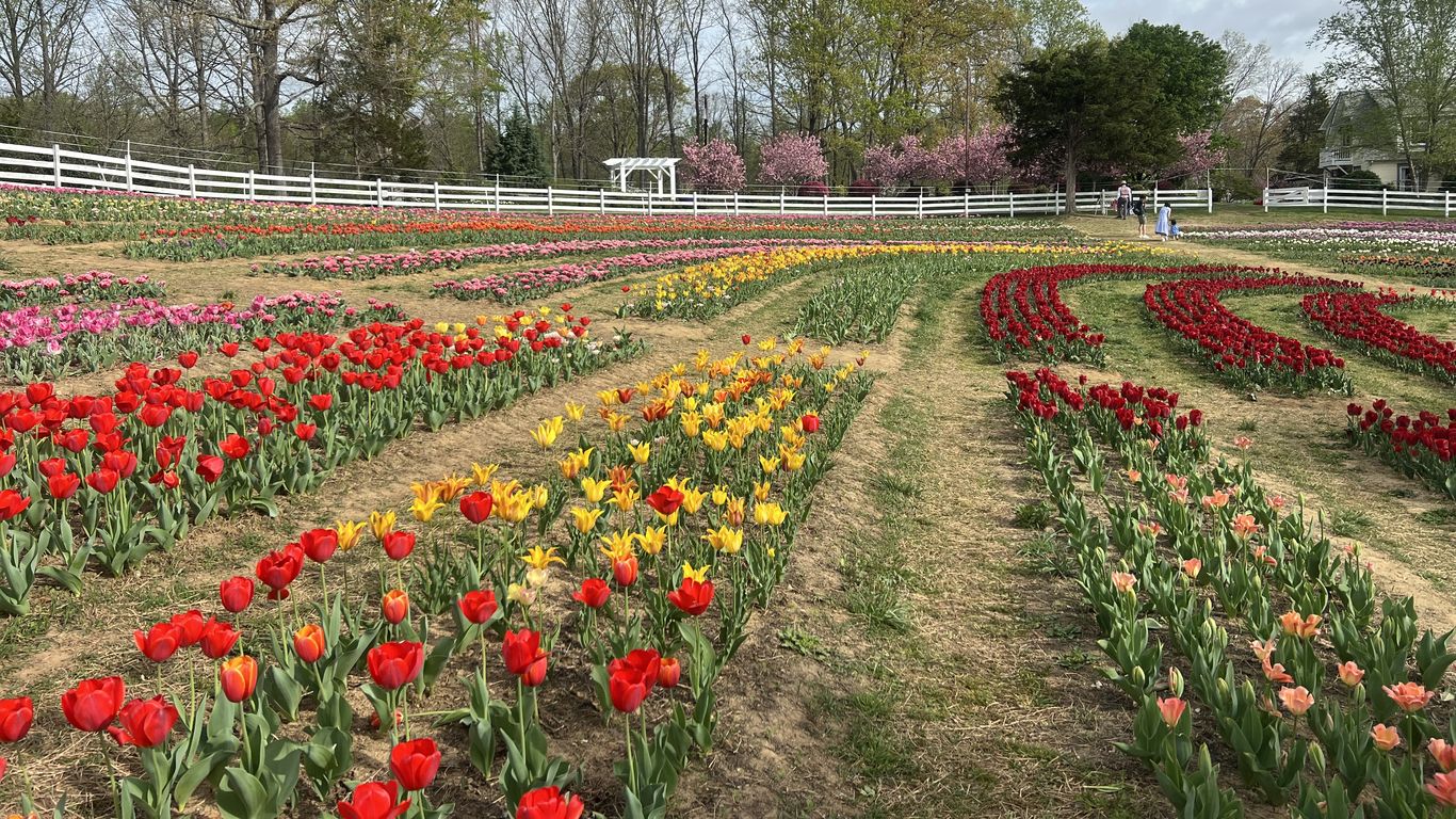 Charlotte Farm And Garden