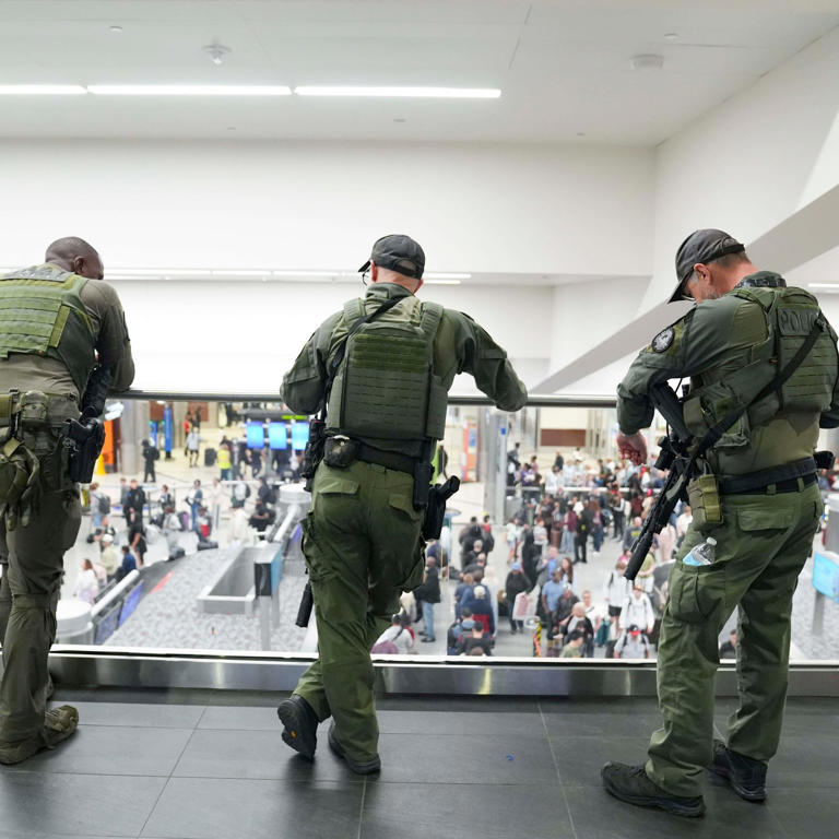 ICE agents deployed to some US airports as TSA lines stretch for hours