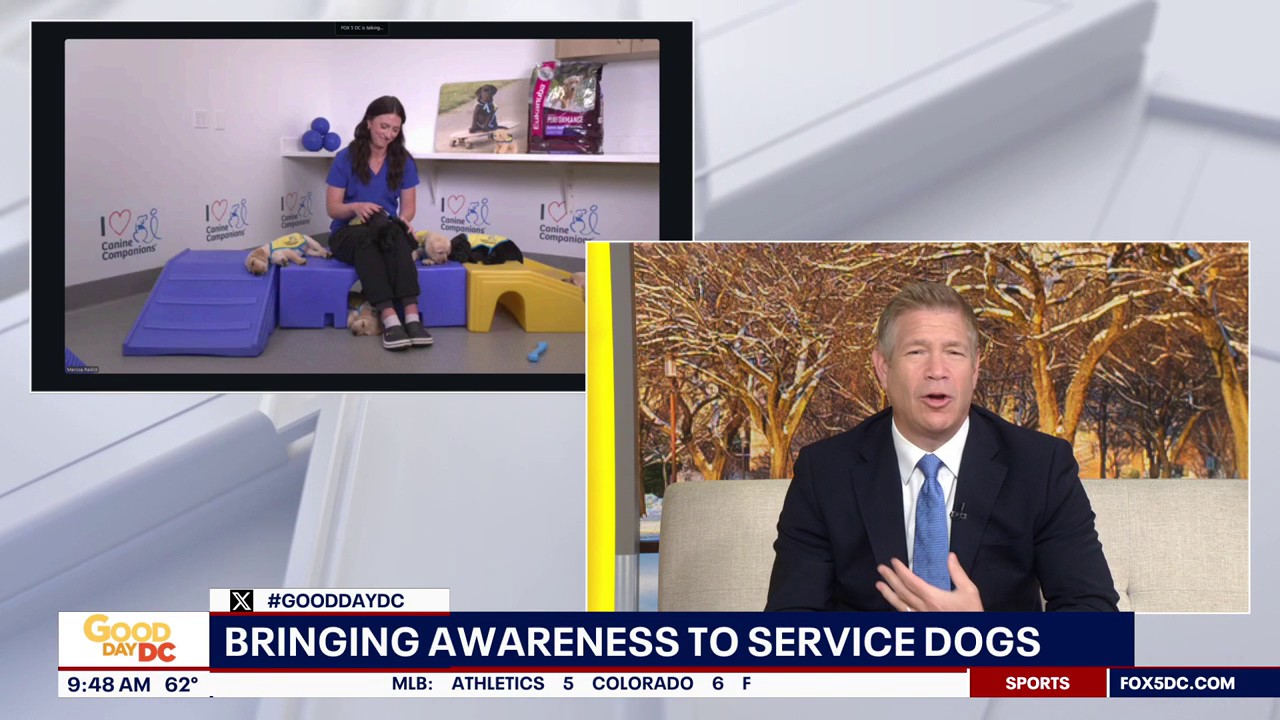 Bringing awareness to service dogs