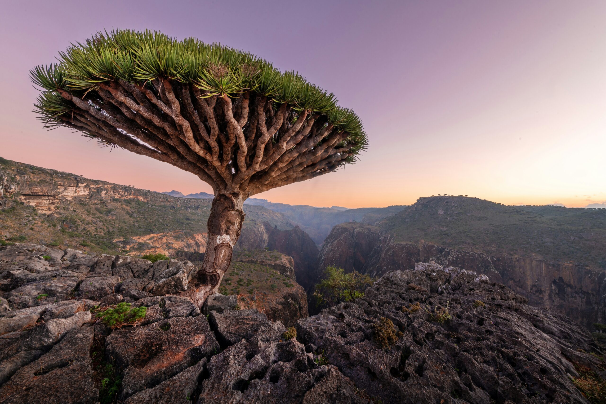 Places shaped by unusual geological events