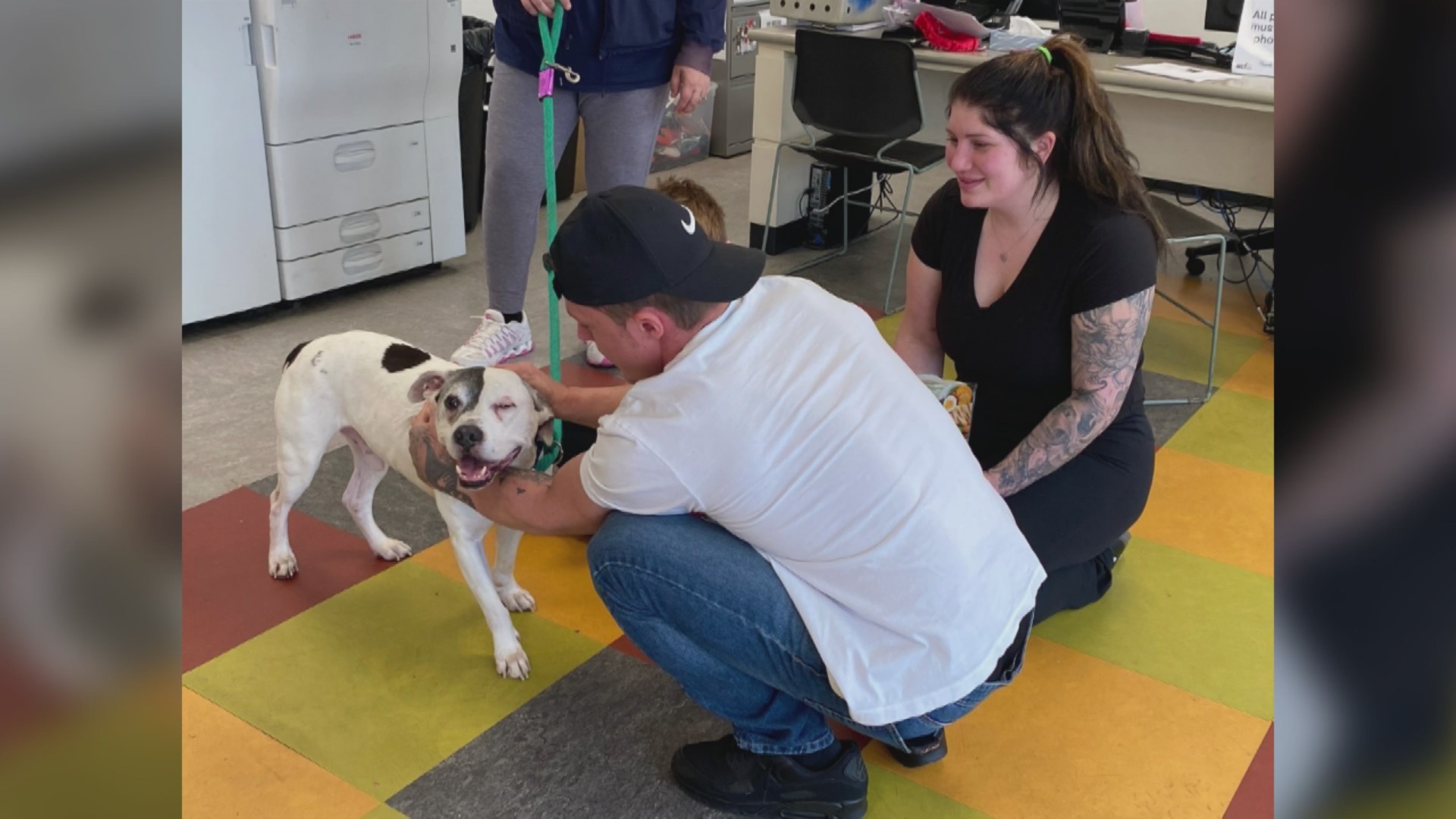 Family reunited with lost dog after 10 years