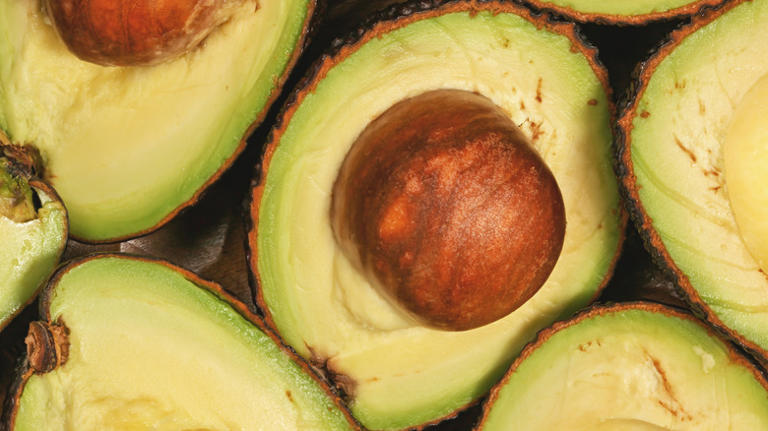 How to grow a tree from an avocado pit